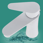 Faucet Hose Stainless Steel Single-Lever Basin Mixer