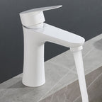 Faucet Hose Stainless Steel Single-Lever Basin Mixer