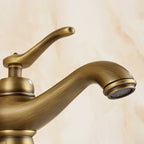 Brass Bathroom Vessel Sink Faucet Single Handle Round Basin Faucet with Water Hose
