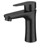 Round Vessel Faucet Lever Handle Stainless Steel Bathroom Faucet with Water Hose
