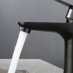 Round Vessel Faucet Lever Handle Stainless Steel Bathroom Faucet with Water Hose