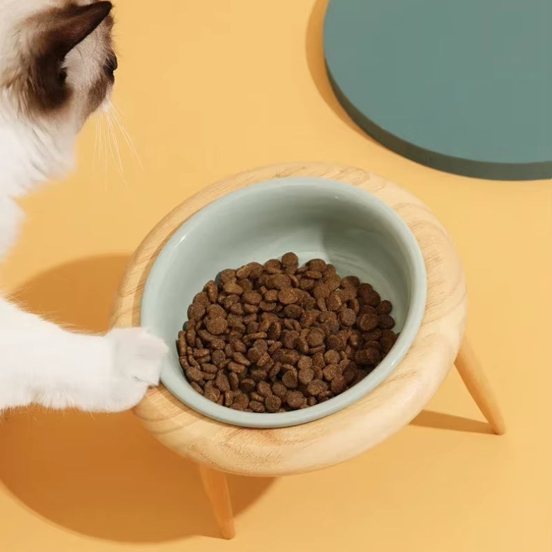 Misha Ceramic Elevated Cat Bowl with Wooden Stand