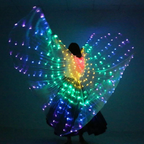 Led Light Luminous Clothing- Without remote