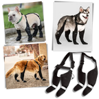 Waterproof Dog Suspenders Boots
