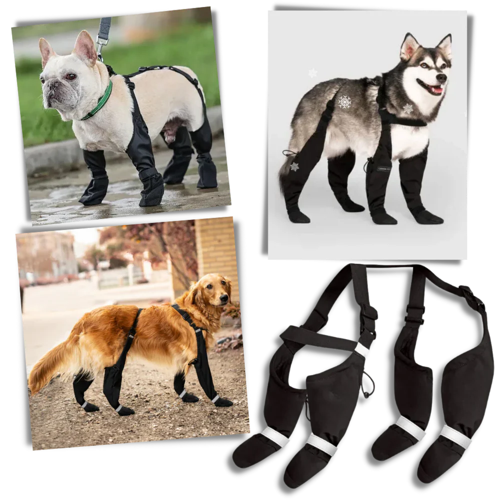 Waterproof Dog Suspenders Boots
