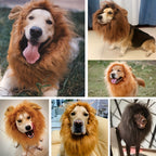 Dog Realistic Lion Mane Halloween Costume | Adjustable Lightweight