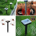 Repel pests - Healthy and protected garden - Eco-friendly and effective