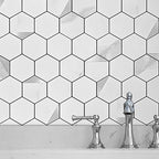 Hexagonal Modern Peel and Stick Tiles Mosaic Tiles Peel and Stick Backdrops