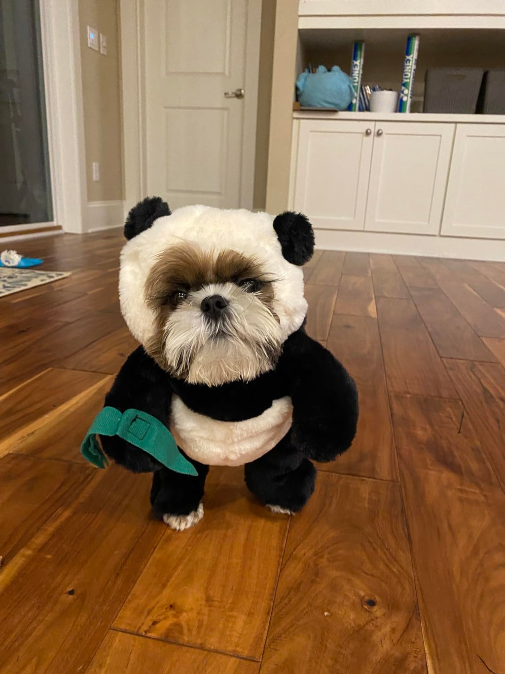 Pandaloon Dog and Pet Costume Set