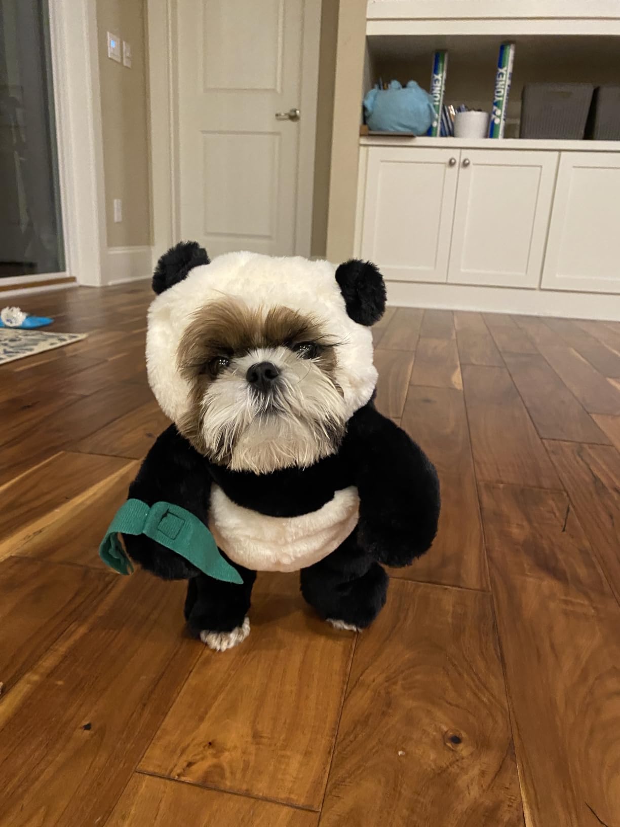 Pandaloon Dog and Pet Costume Set