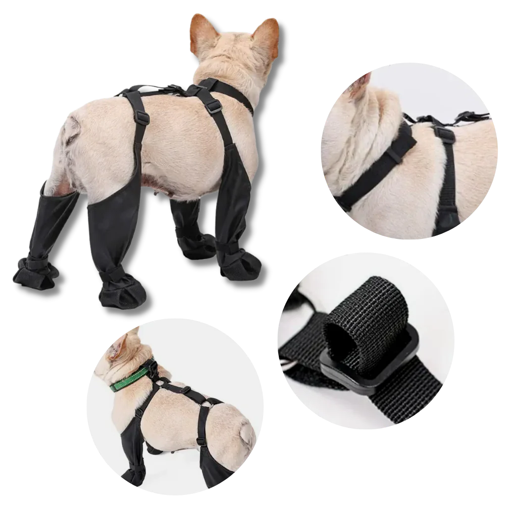 Waterproof Dog Suspenders Boots