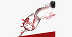 Wine Aerator Decanter Pourer – The perfect accessory for the home bar!