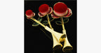 Rose Beauty Flawless Face Oval Brush Set