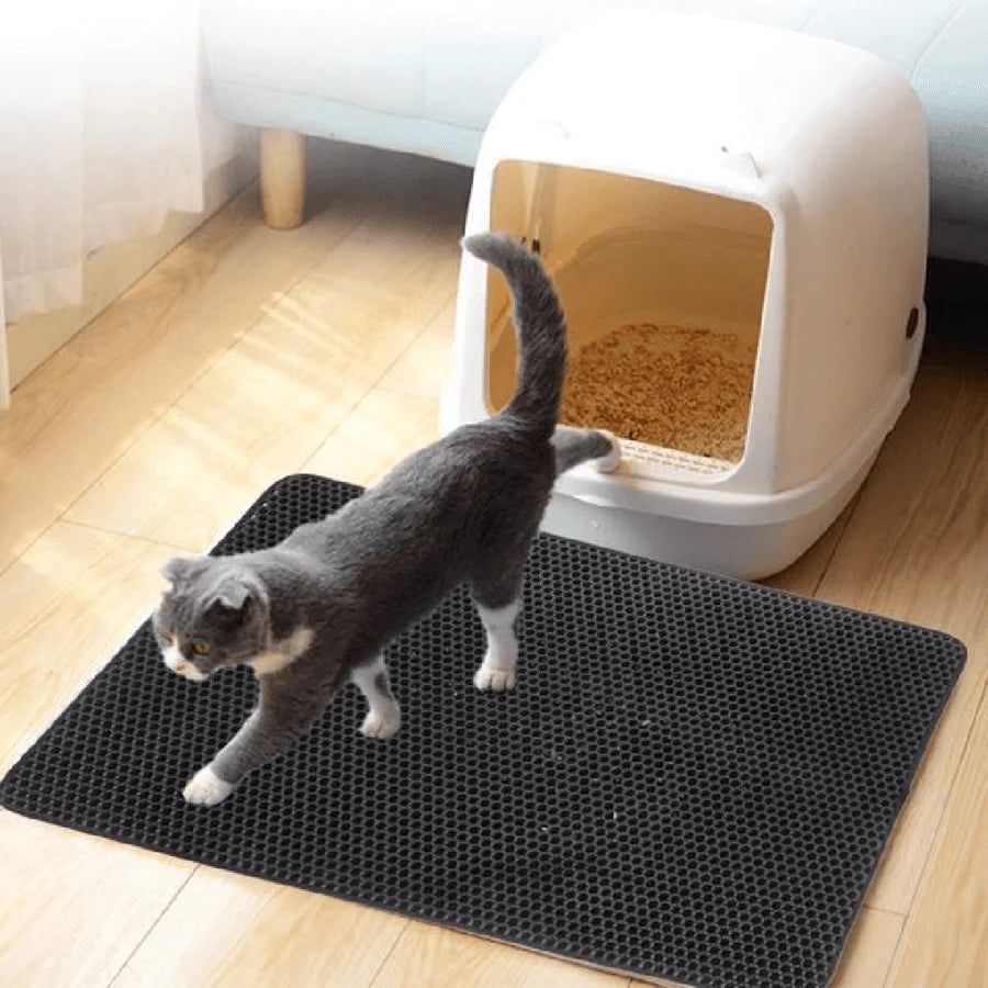StreuChampion — Finally a cozy clean home without cat litter chaos!