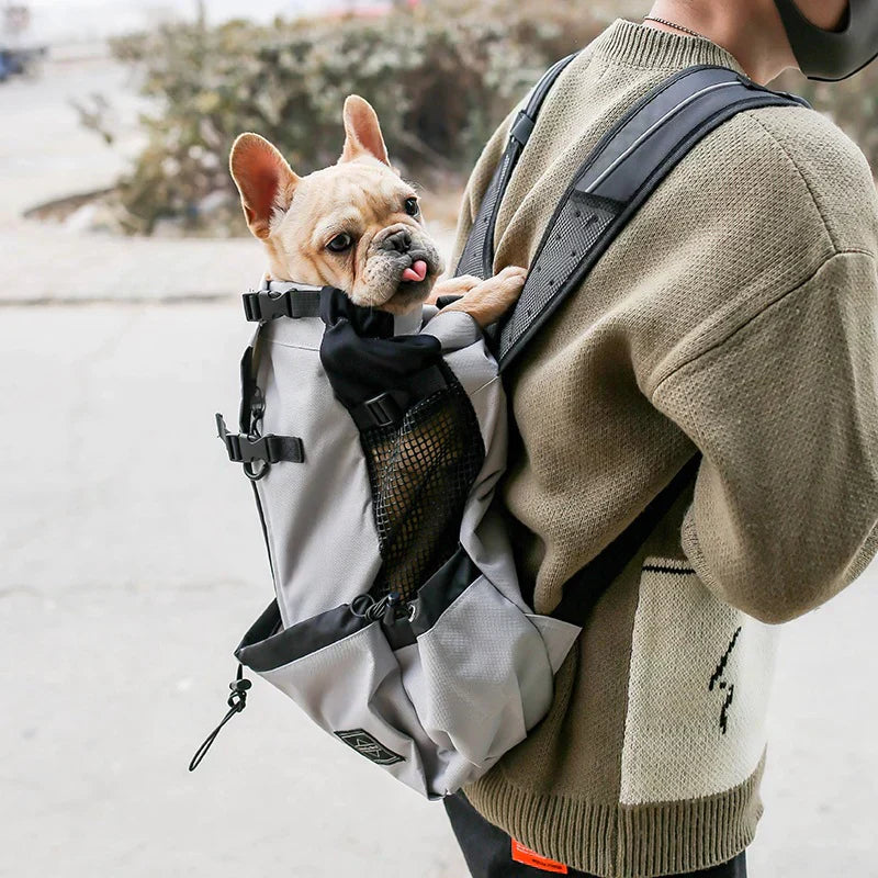 Dog Carrier Backpack with Safety Strap and Storage Pockets for 1–25 kg Dogs