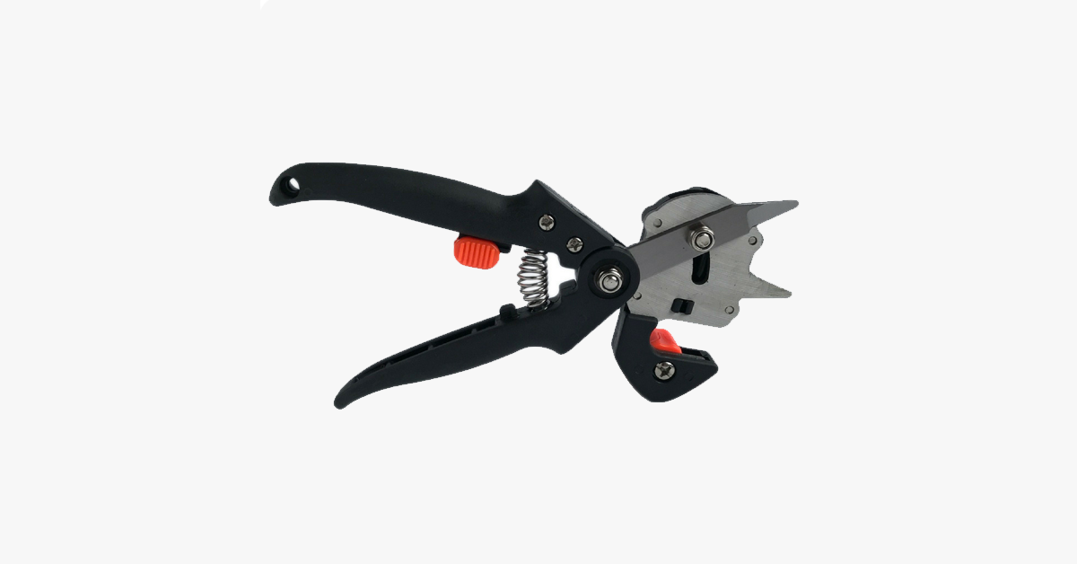 Nifty Gardener's Graft – Improve Your Gardening Skills!