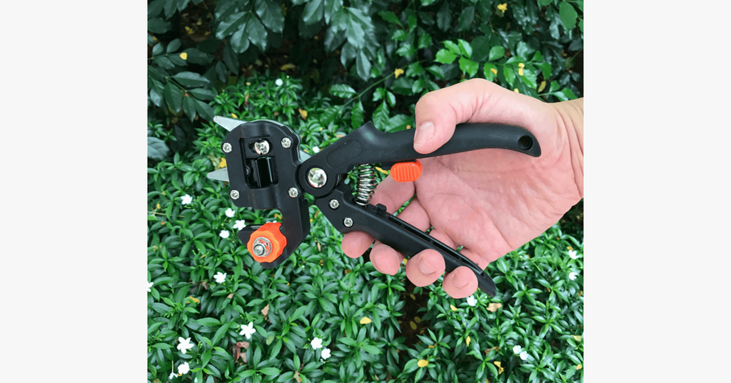 Nifty Gardener's Graft – Improve Your Gardening Skills!