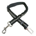 Adjustable Safety Belt for Dogs in the Car