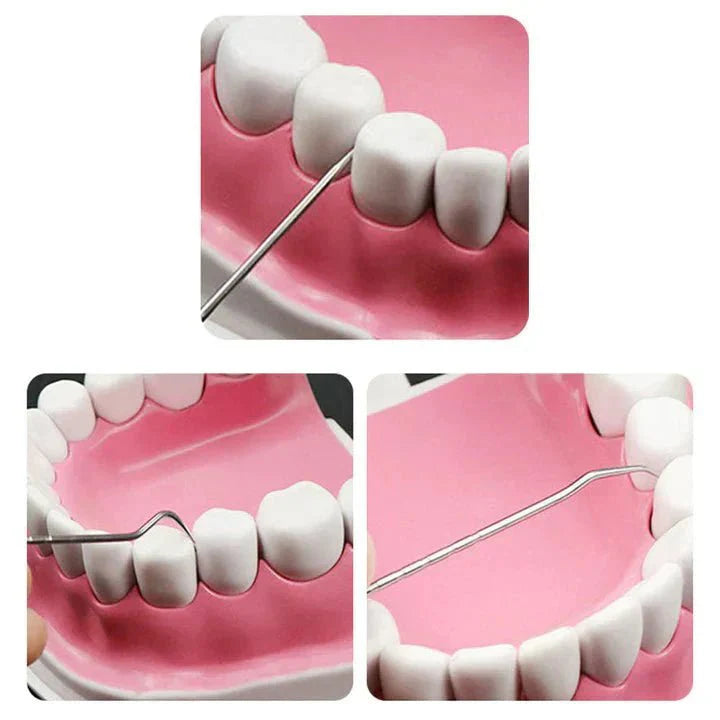 Improve your oral hygiene - Maintenance kit - Stainless fabrics - Environmentally friendly and durable