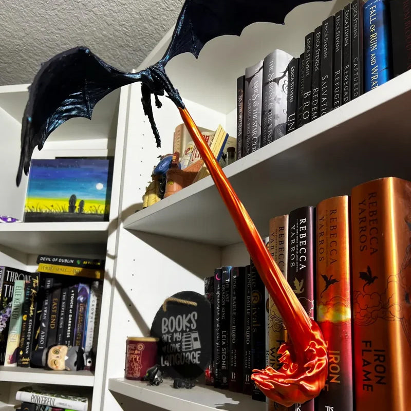 Dragon Flame Book Niche