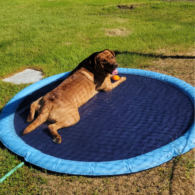 Folding Pet Bathing Pad
