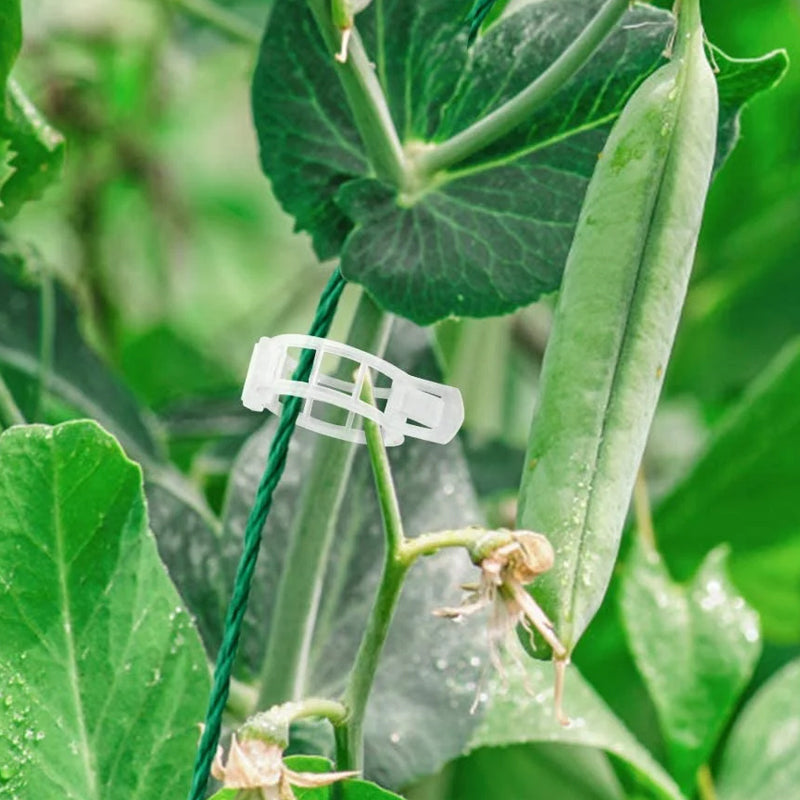 50/100/150pcs Plant Support Clips, Vine Vegetable Fastening Clips