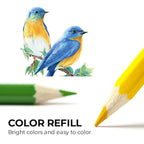 Portable Colored Pencil Set