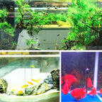 Eco-Aquarium Water Cleaner Cube