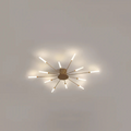 Luxury LED Ceiling Lamp | Stylish Ceiling Fixture for Living Room