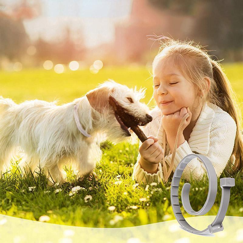 Adjustable Insect Defense Collar for Pets