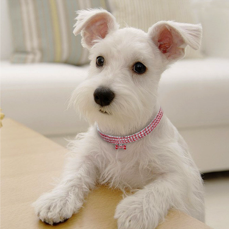 Sweet Crystal Dog Collar