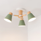 LED Ceiling Lamp