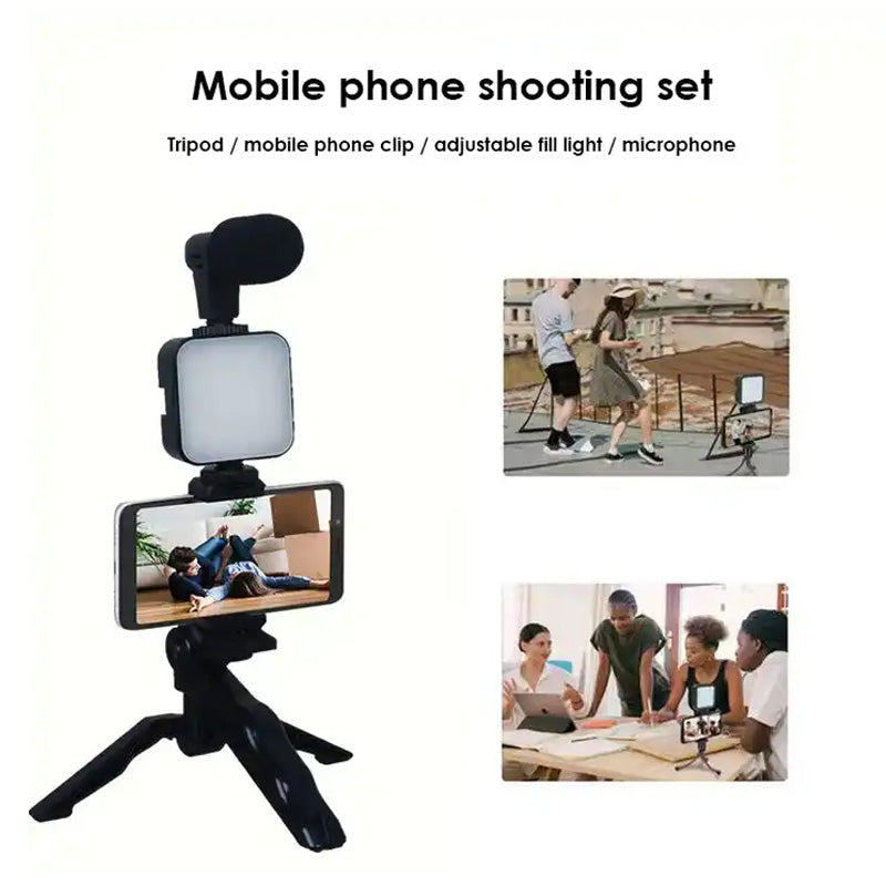 Spotlight with Microphone Kit