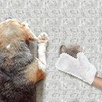 Fish scale cleaning dust gloves