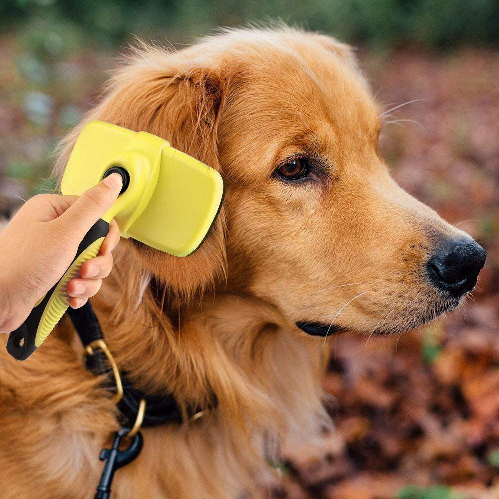 Ciaovie Brush for Pet Cleaning