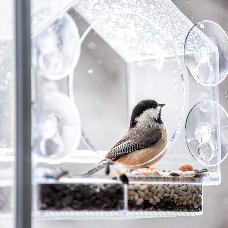 Window Bird Feeder House