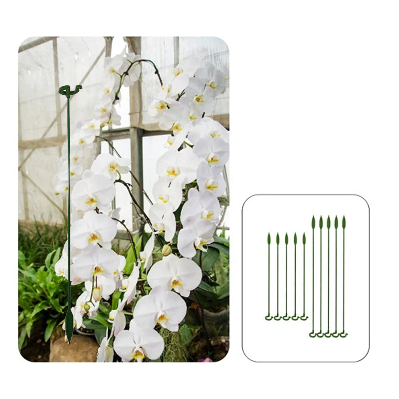 Plant support stake (10 pieces)