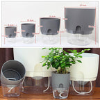 Self-watering Hydro-Flower Pot