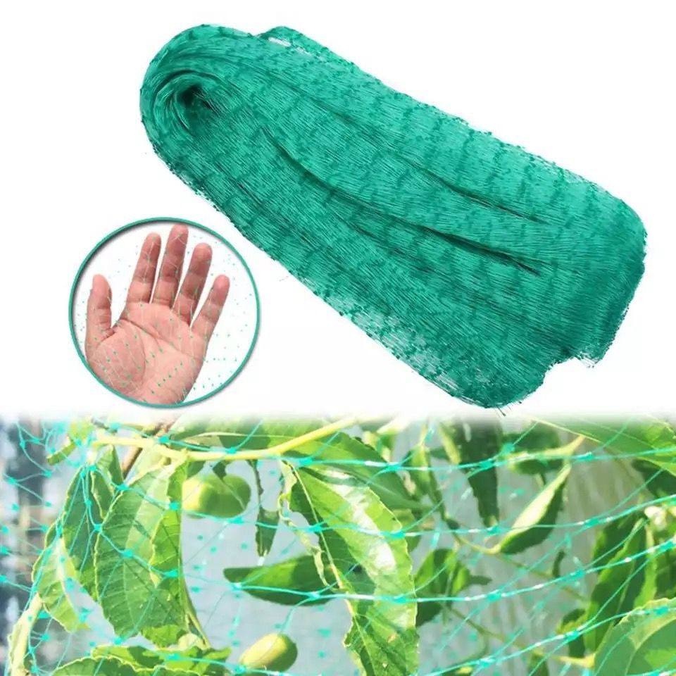 Protective net for garden plants – Green net against pests and animals