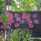 Large Flower Stencils for Garden Fence