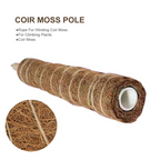 Coconut moss stick for climbing plants – Natural climbing aid for houseplants and garden