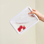 Silicone Lid Fresh Box