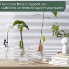 Plant Propagation Friend