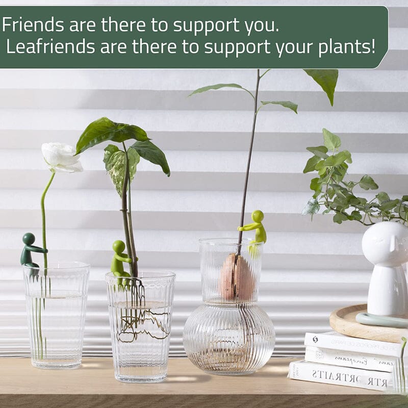 Plant Propagation Friend