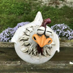 Big Eye Hen Resin Handicraft
