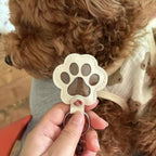 PawMemorie Keychain – Memorial Pendant with Paw Print and Inner Compartment