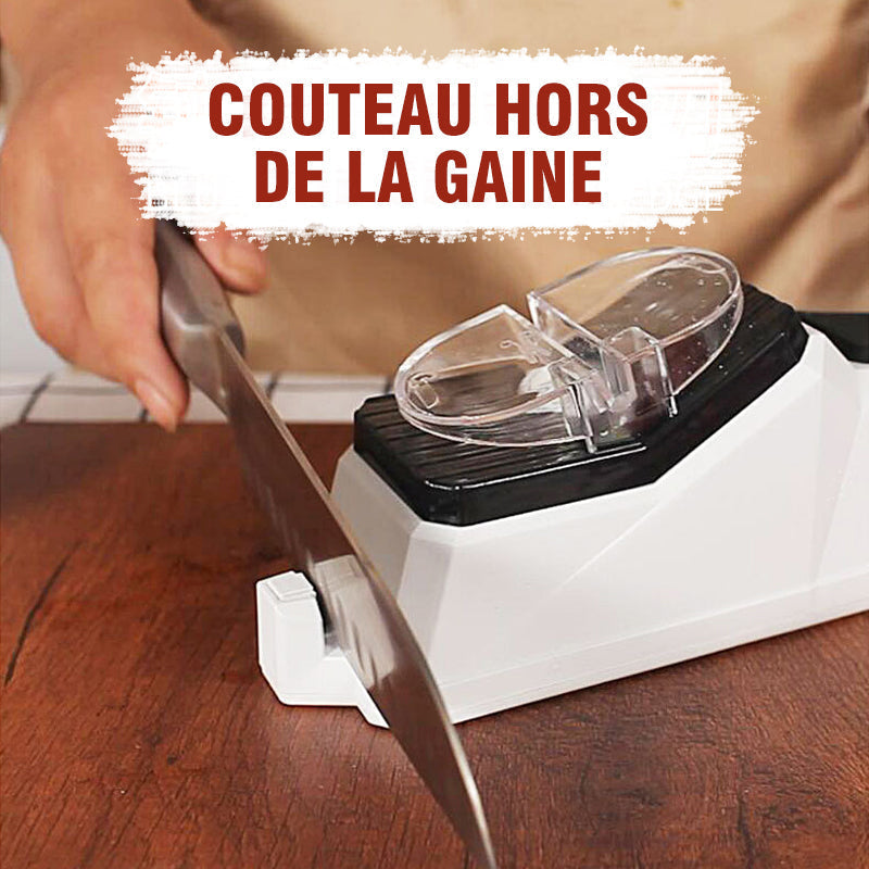 Electric kitchen knife sharpener