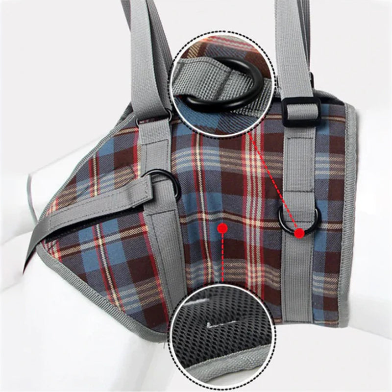 Orthopedic Strap for Hind Legs