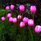 Solar Tulip Lawn Light Outdoor Garden LED Tulip Flower Light Ground Stake Landscape Light