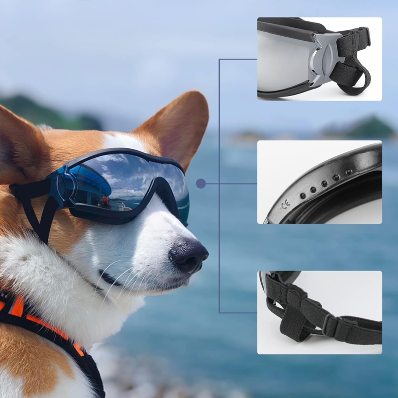 Outdoor Protection Glasses for Dogs